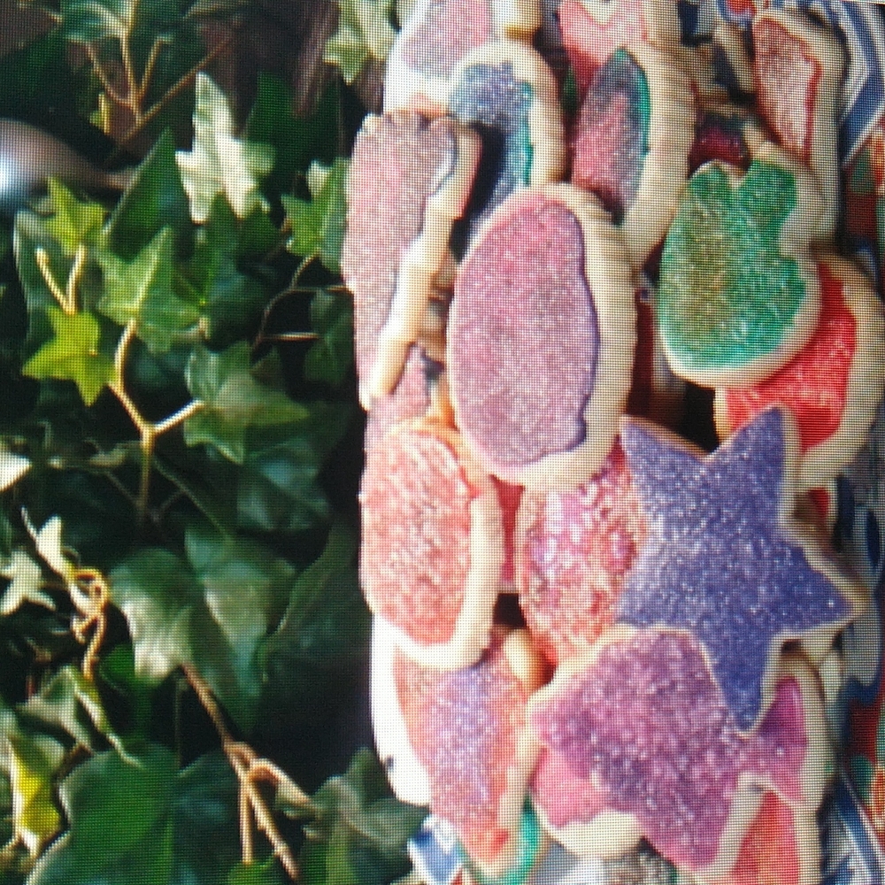 "NO FAIL" Sugar Cookie Family Recipe Over 50 years old